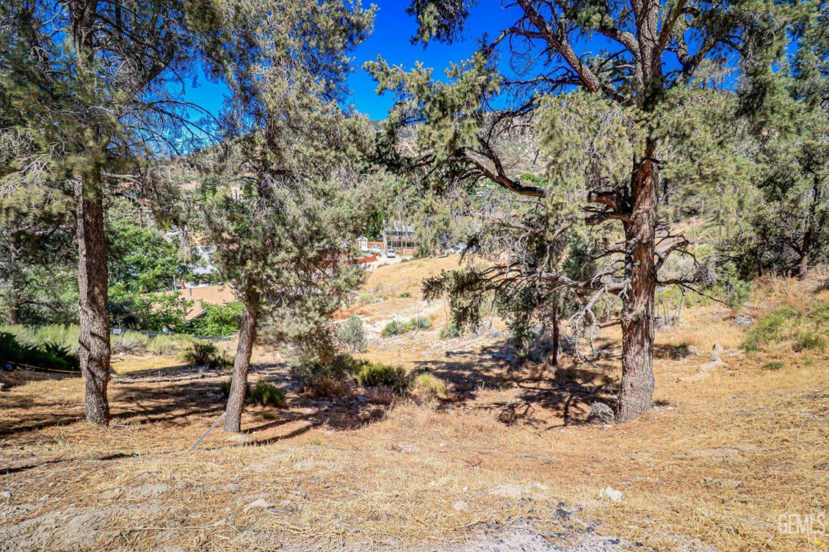 0 SUMMIT, FRAZIER PARK, CA 93225, photo 1 of 3